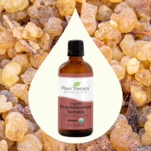 Plant Therapy Organic Frankincense Serrata Essential Oil 100% Pure, USDA Certified Organic, Undiluted, Natural Aromatherapy, Therapeutic Grade 100 mL (3.3 oz) - Image 3