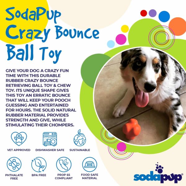 SodaPup Crazy Bounce ? Durable Dog Ball Toy & Chew Toy Made in USA from Non-Toxic, Pet-Safe, Food Safe Natural Rubber Material for Bonding, Mental & Physical Exercise, Problem Chewing, & More - Image 3