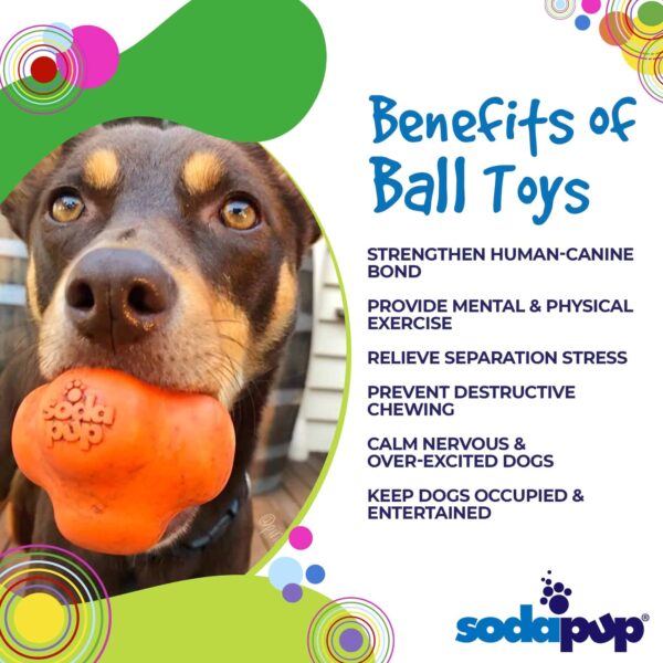 SodaPup Crazy Bounce ? Durable Dog Ball Toy & Chew Toy Made in USA from Non-Toxic, Pet-Safe, Food Safe Natural Rubber Material for Bonding, Mental & Physical Exercise, Problem Chewing, & More - Image 4