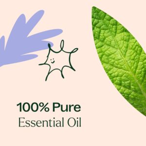 Plant Therapy Respir Aid Essential Oil Blend 30 mL (1 oz) 100% Pure, Undiluted, Natural Aromatherapy, Therapeutic Grade - Image 6