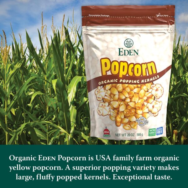 Eden Organic Yellow Popcorn Kernels, Non GMO, Superior Popping Variety, 100% Whole Grain, 20 oz (2-Pack) - Image 3